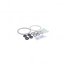 Kit garnituri centrala termica Viessmann Vitopend 100 WH0